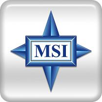 MSI